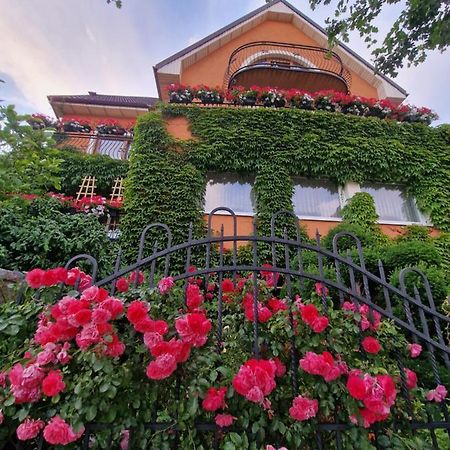 Villa Victoria ليبا المظهر الخارجي الصورة