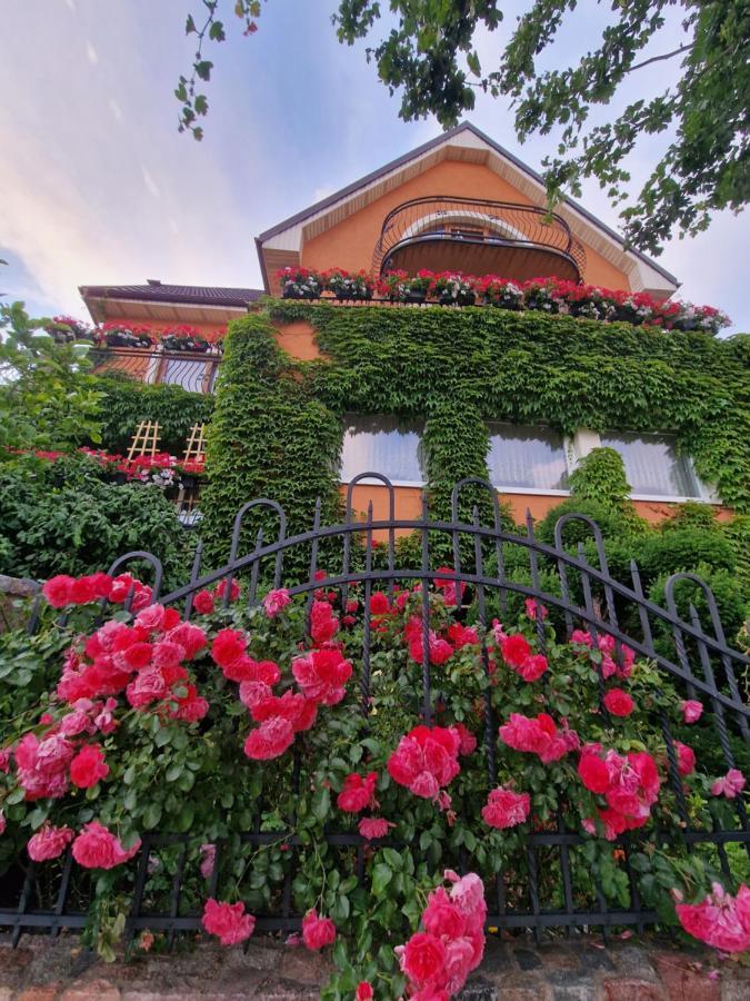 Villa Victoria ليبا المظهر الخارجي الصورة