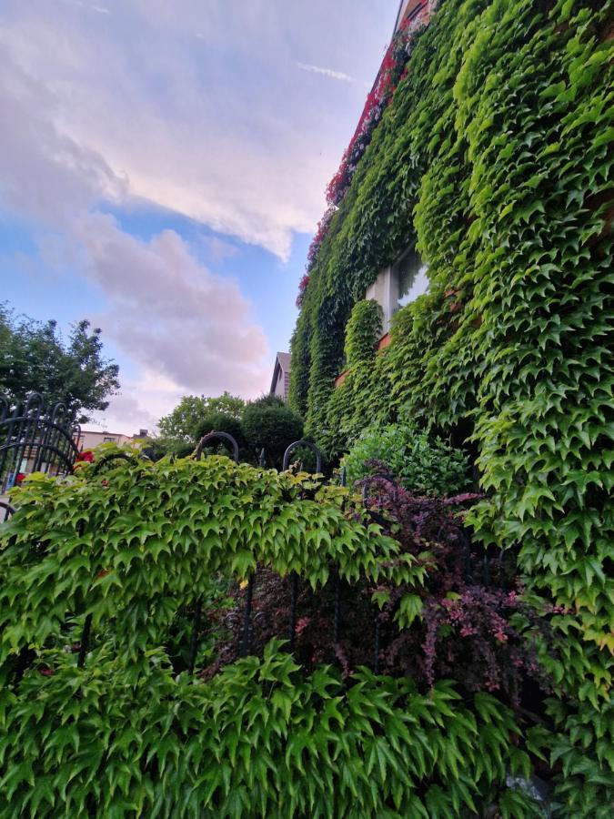 Villa Victoria ليبا المظهر الخارجي الصورة