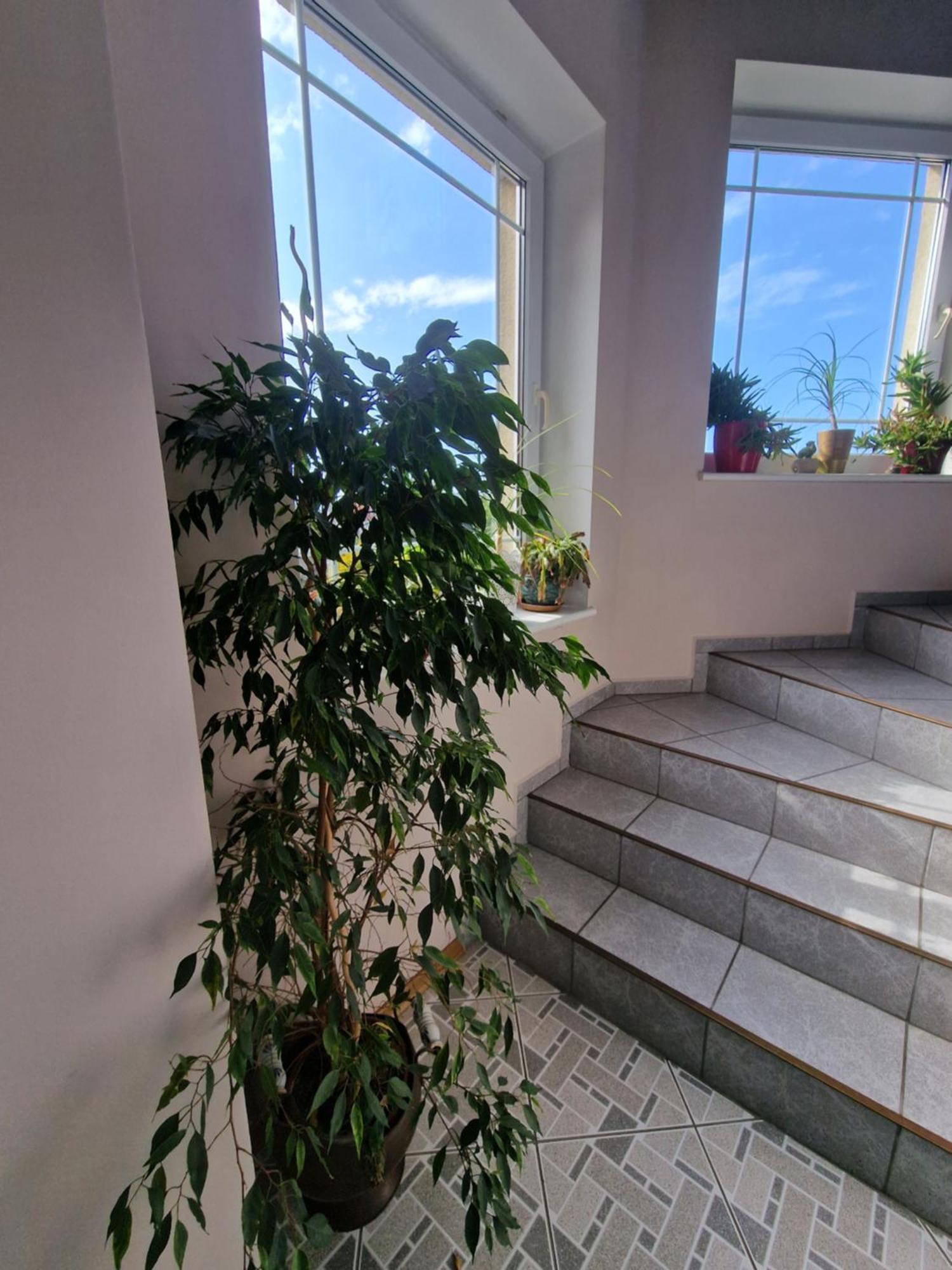 Villa Victoria ليبا المظهر الخارجي الصورة